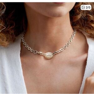 Tiffany & Co. Silver Chain Necklace with Oval Tag